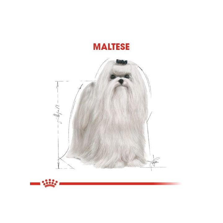 Maltese Adult Yetişkin Köpek Kuru Maması 1.5 kg