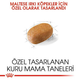 Maltese Adult Yetişkin Köpek Kuru Maması 1.5 kg