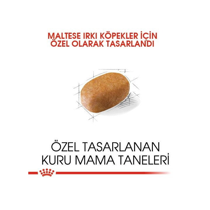 Maltese Adult Yetişkin Köpek Kuru Maması 1.5 kg