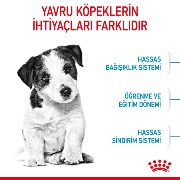 Mini Puppy Yavru Köpek Kuru Maması 2 kg
