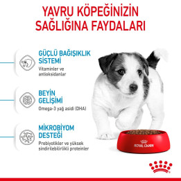 Mini Puppy Yavru Köpek Kuru Maması 2 kg