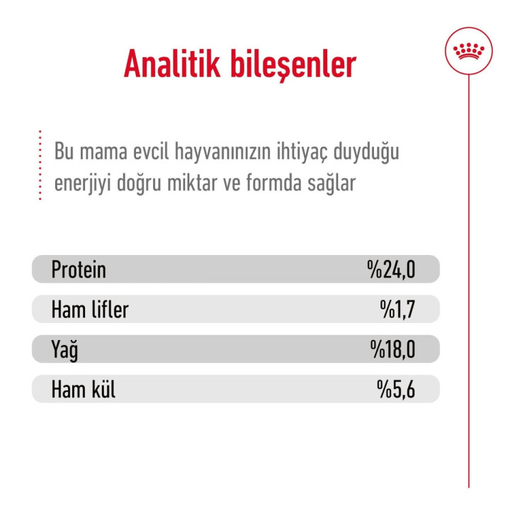Xsmall Adult 1.5 kg