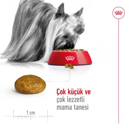 Xsmall Adult 3 kg