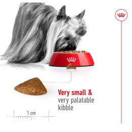 Xsmall Ageing 12+ 1.5 kg