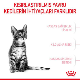 Kitten Sterilised Yavru Kedi Kuru Maması 400 g