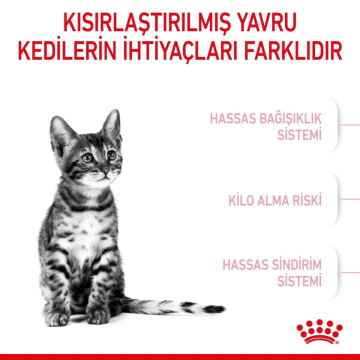 Kitten Sterilised Yavru Kedi Kuru Maması 2 kg