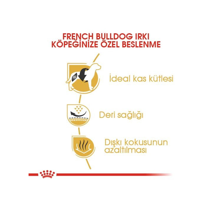 French Bulldog Adult Yetişkin Köpek Kuru Maması 3 kg