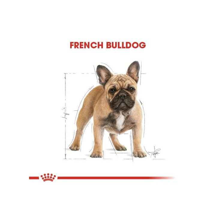 French Bulldog Adult Yetişkin Köpek Kuru Maması 3 kg