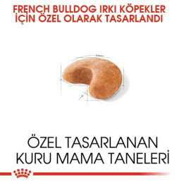French Bulldog Adult Yetişkin Köpek Kuru Maması 3 kg