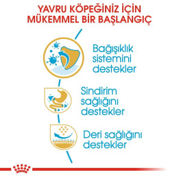 French Bulldog Puppy Yavru Köpek Kuru Maması 3 kg
