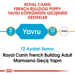 French Bulldog Puppy Yavru Köpek Kuru Maması 3 kg
