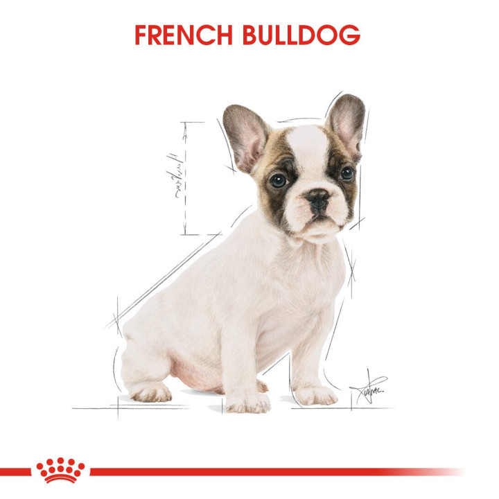 French Bulldog Puppy Yavru Köpek Kuru Maması 3 kg