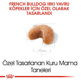 French Bulldog Puppy Yavru Köpek Kuru Maması 3 kg