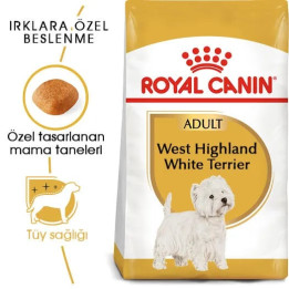 West Highland White Terrier Adult Yetişkin Köpek Kuru Maması 3 kg