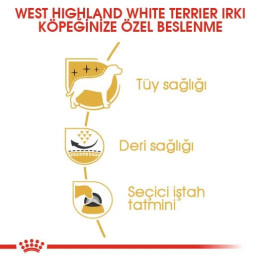 West Highland White Terrier Adult Yetişkin Köpek Kuru Maması 3 kg