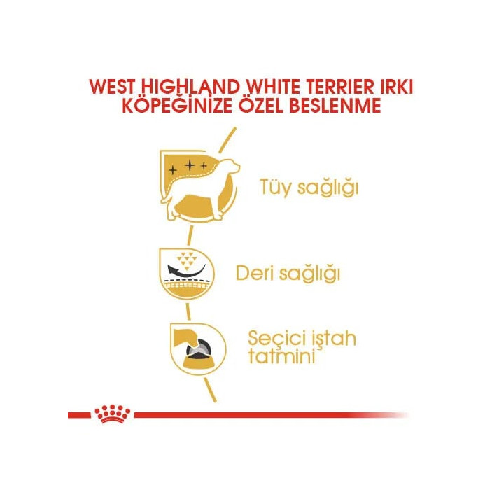 West Highland White Terrier Adult Yetişkin Köpek Kuru Maması 3 kg