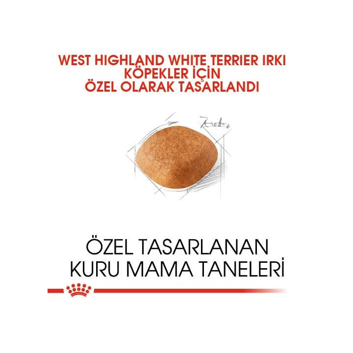 West Highland White Terrier Adult Yetişkin Köpek Kuru Maması 3 kg