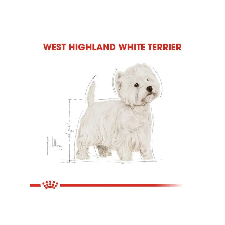 West Highland White Terrier Adult Yetişkin Köpek Kuru Maması 3 kg