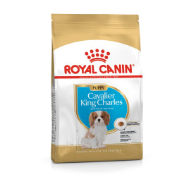Cavalier King Charles Puppy Yavru Köpek Kuru Maması 1.5 kg