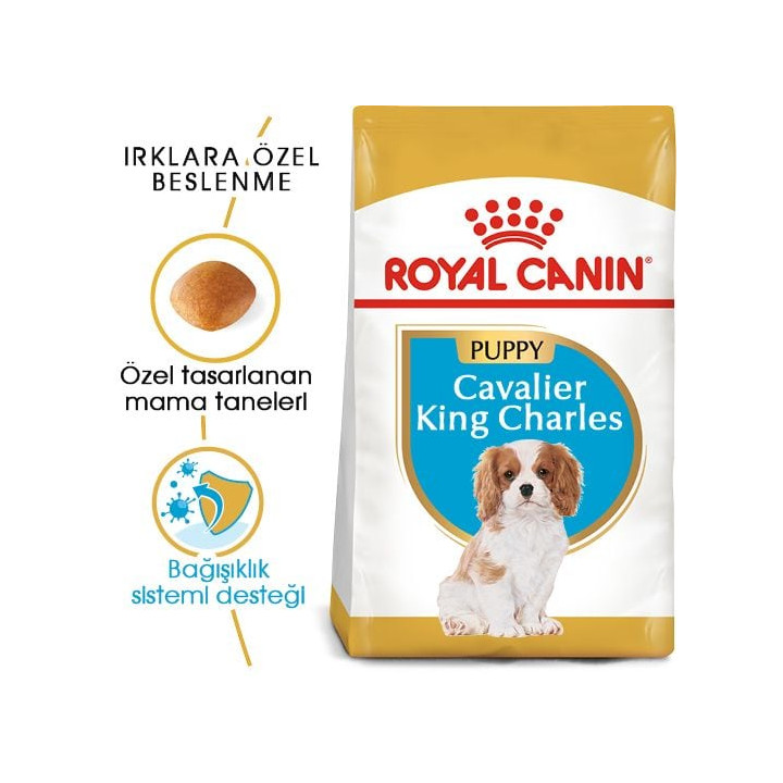 Cavalier King Charles Puppy Yavru Köpek Kuru Maması 1.5 kg