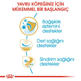 Pug Puppy Yavru Köpek Kuru Maması 1.5 kg
