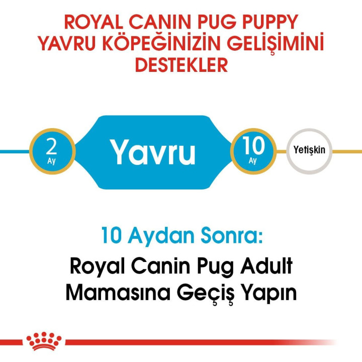 Pug Puppy Yavru Köpek Kuru Maması 1.5 kg