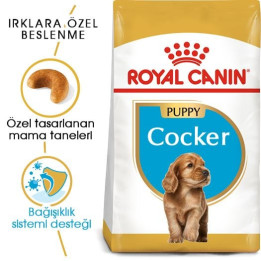 Cocker Puppy Yavru Köpek Kuru Maması 3 kg