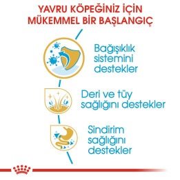 Cocker Puppy Yavru Köpek Kuru Maması 3 kg