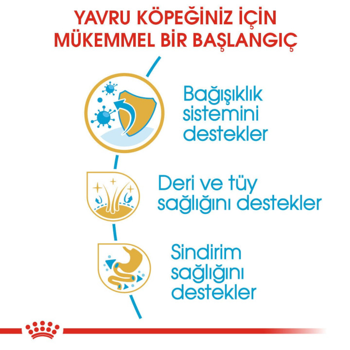 Cocker Puppy Yavru Köpek Kuru Maması 3 kg