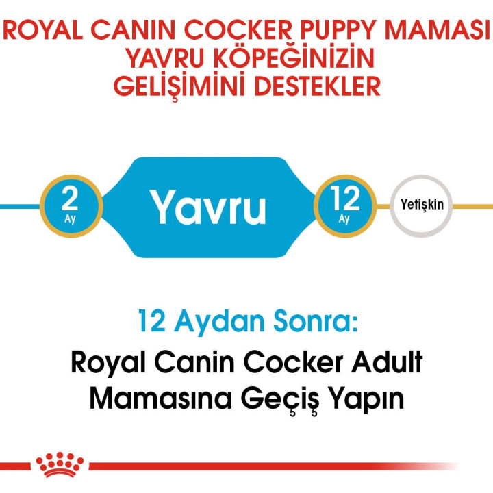 Cocker Puppy Yavru Köpek Kuru Maması 3 kg