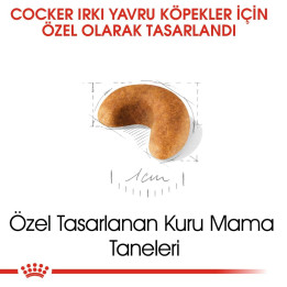 Cocker Puppy Yavru Köpek Kuru Maması 3 kg