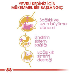 Maine Coon Kitten Yavru Kedi Kuru Maması 2 kg