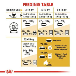 Maine Coon Kitten Yavru Kedi Kuru Maması 2 kg