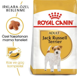 Jack Russell Adult Yetişkin Köpek Kuru Maması 3 kg