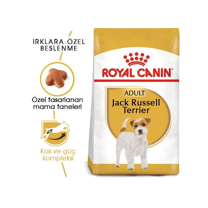 Jack Russell Adult Yetişkin Köpek Kuru Maması 3 kg