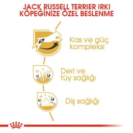 Jack Russell Adult Yetişkin Köpek Kuru Maması 3 kg
