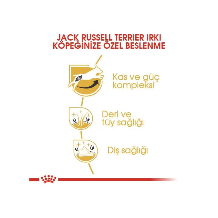 Jack Russell Adult Yetişkin Köpek Kuru Maması 3 kg