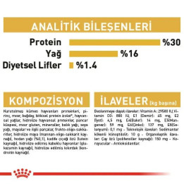Jack Russell Adult Yetişkin Köpek Kuru Maması 3 kg