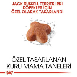Jack Russell Adult Yetişkin Köpek Kuru Maması 3 kg