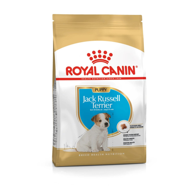 Jack Russell Puppy Yavru Köpek Kuru Maması 3 kg
