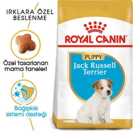 Jack Russell Puppy Yavru Köpek Kuru Maması 3 kg