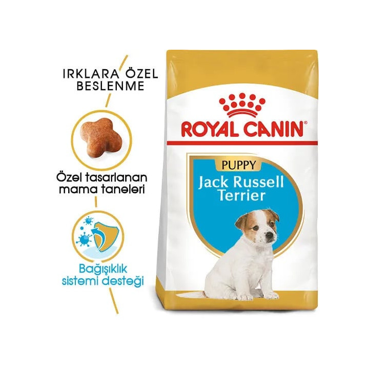 Jack Russell Puppy Yavru Köpek Kuru Maması 3 kg