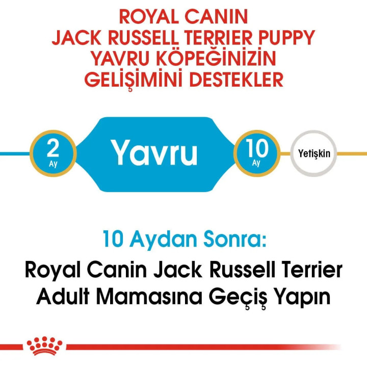 Jack Russell Puppy Yavru Köpek Kuru Maması 3 kg