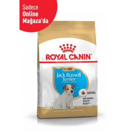 Jack Russell Puppy Yavru Köpek Kuru Maması 3 kg