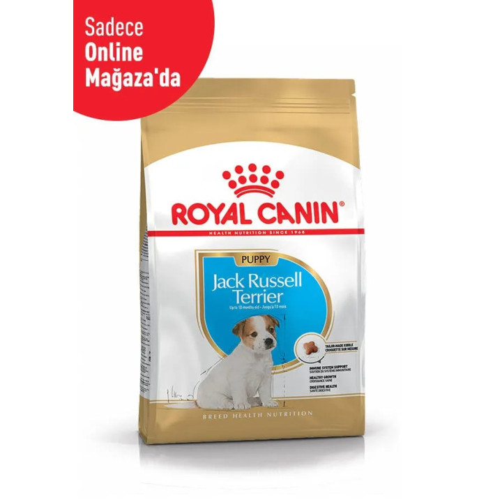 Jack Russell Puppy Yavru Köpek Kuru Maması 3 kg