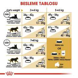 Ragdoll Adult Yetişkin Kuru Kedi Maması 2 kg