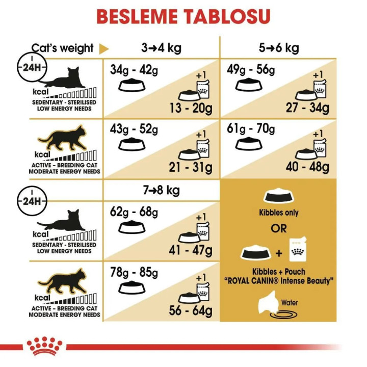 Ragdoll Adult Yetişkin Kuru Kedi Maması 2 kg