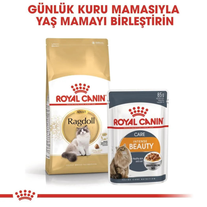 Ragdoll Adult Yetişkin Kuru Kedi Maması 2 kg