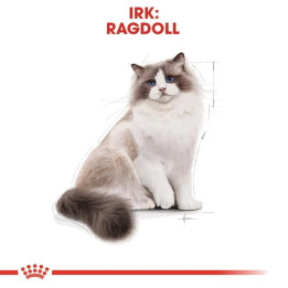 Ragdoll Adult Yetişkin Kuru Kedi Maması 2 kg