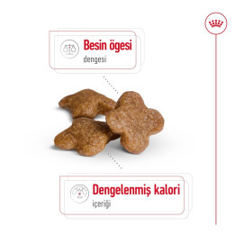 Mini Adult 8+ Yaşlı Köpek Kuru Maması 2 kg